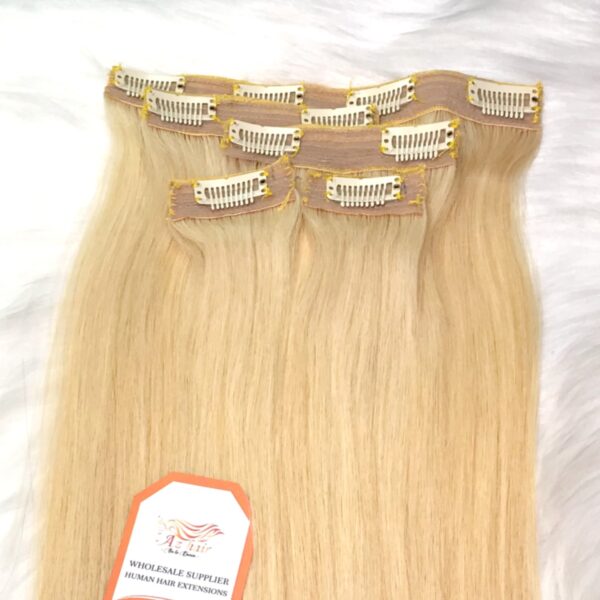 Wholesale Price Straight Clip In Hair #2 Color 100% Raw Vietnamese